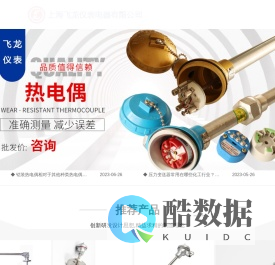 上海飞龙仪表电器有限公司