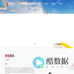 新意资本