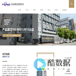 气体罗茨流量计|电磁|蒸汽|涡街|天然气|液体涡轮-浙江裕顺仪表有限公司