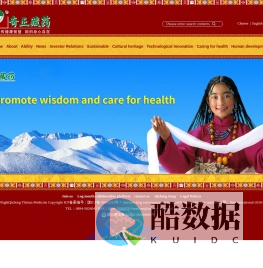 西藏奇正藏药股份有限公司 青鹏软膏 |  消痛贴膏