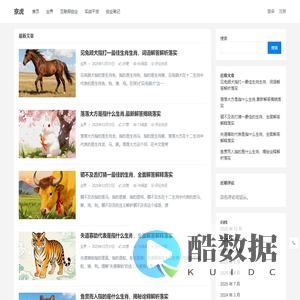 多多云 - 创业项目实战经验分享