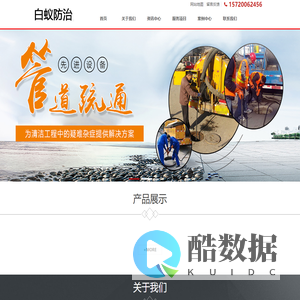 白蚁防治_白蚁治理_白蚁消杀_灭白蚁 - 白蚁治理消杀