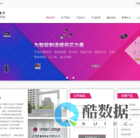 广州市意芯微电子有限公司