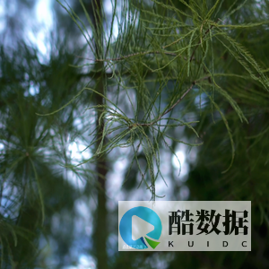 Off&Relax - 亚洲头皮健康养护专家