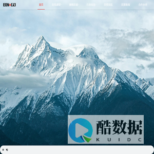 宾果信息技术