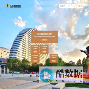 中一东北国际医院