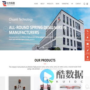Chongqing Chuanli Technology Co., Ltd-spring-tension spring