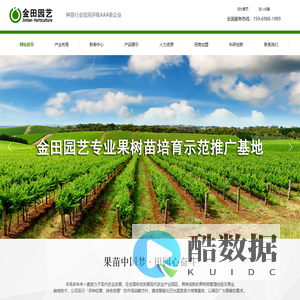 葡萄苗-车厘子苗-樱桃苗—平度市金田园艺场