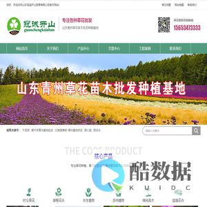 青州草花-宿根草花-宿根花卉-基地苗木种植批发_山东冠诚开山贸易