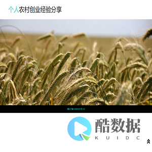 个人农村创业经验分享