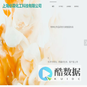 上海必霖化工科技有限公司