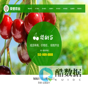 苹果苗-矮化苹果苗-无花果苗-梨树/樱桃树/苹果树/核桃树/冬枣树苗-泰安高新区荣誉农业科技有限公司