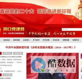 洞口党建网