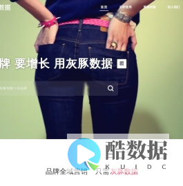 灰豚数据