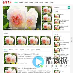 深圳鲜花绿植租赁|绿植盆栽|发财树|办公绿植 - 叁仟森林