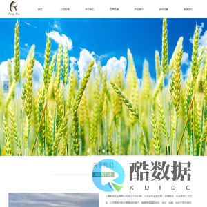 上海良润实业有限公司