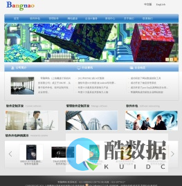 软件外包