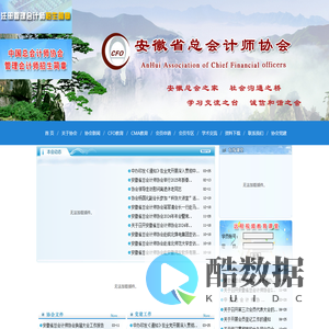 安徽省总会计师协会