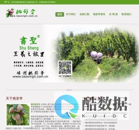 桃形李-嵊州桃形李,浙江嵊州桃形李,金庭桃形李,桃形李,书圣王羲之,书圣故里桃形李,桃形李干,自驾游,江南名果,李子,O2O,正宗桃形李,嵊州上东金庭
