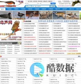 鸟声网 鸟叫声MP3 最新鸟声音下载网站