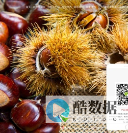 鲜板栗_鲜板栗价格_鲜板栗批发-遵化市栗老头板栗种植专业合作社