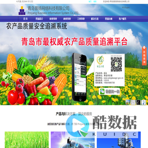 青岛普扬网络科技有限公司