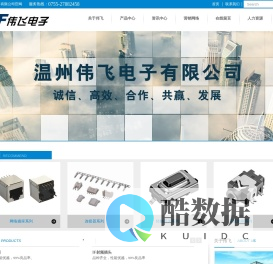 温州伟飞电子有限公司