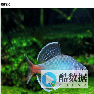 物种笔记