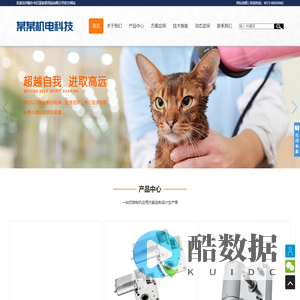 某某电机有限公司