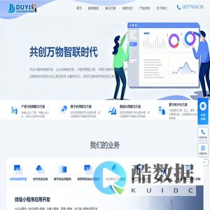 数字化应用系统开发公司