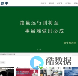 宜宾市野牛网络科技有限公司