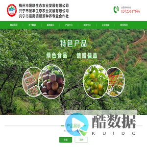 兴宁市径南镇顺景种养专业合作社｜兴宁茶叶｜李果种植批发|兴宁市景丰生态农业公司