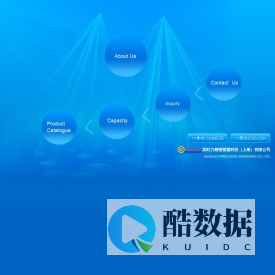 宾时力精密模塑科技(上海)有限公司