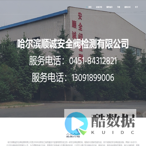 顺诚安全阀检测有限公司