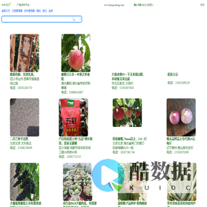 中中可行 广告平台