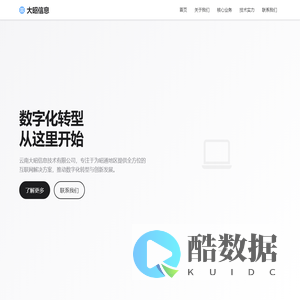云南大昭信息技术有限公司 - 数字化转型领航者