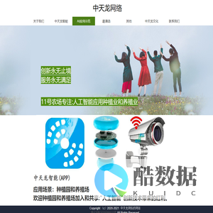 中天龙网络