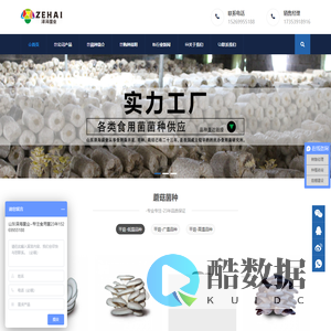 蘑菇菌种 食用菌 菌包 平菇