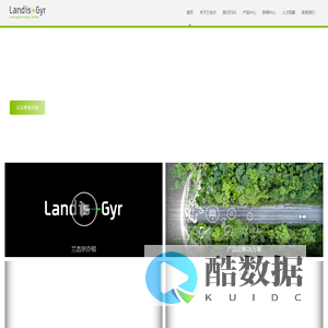 兰吉尔仪表系统（珠海）有限公司 - 域名未授权