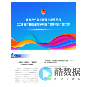 2025中国青年“揭榜挂帅”擂台赛