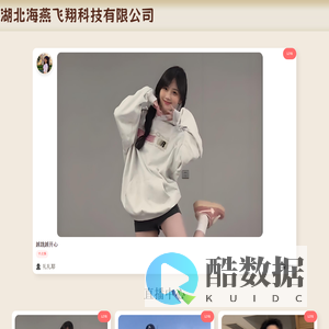 湖北海燕飞翔科技有限公司