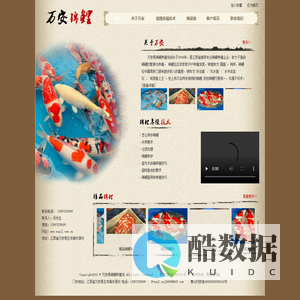 江西锦鲤养殖，江西锦鲤批发零售_万安县锦鲤养殖场