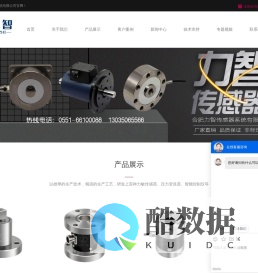 扭矩传感器_轴销传感器_合肥力智传感器系统有限公司