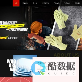 佛山市南海天龙亿达实业有限公司