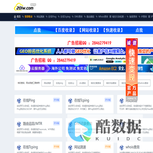 域名查询_在线ping检测_网站测速工具_dns查询_201测速网