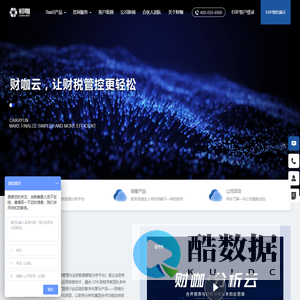 财咖_财务体系搭建与数字化建设专家