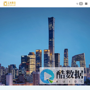 正大集团官网