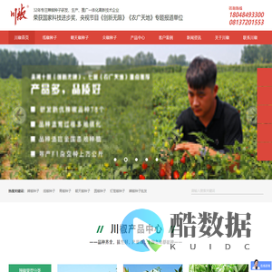 川椒种业 - 辣椒种子,尖椒种子,线椒种子,朝天椒种子,高产辣椒种子