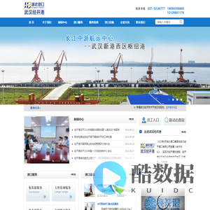 武汉经开港口有限公司