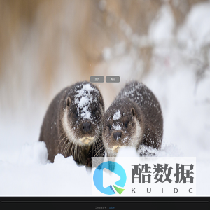 不知天上宫阙，今夕是何年。